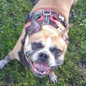 Meet your Posher, Andrea